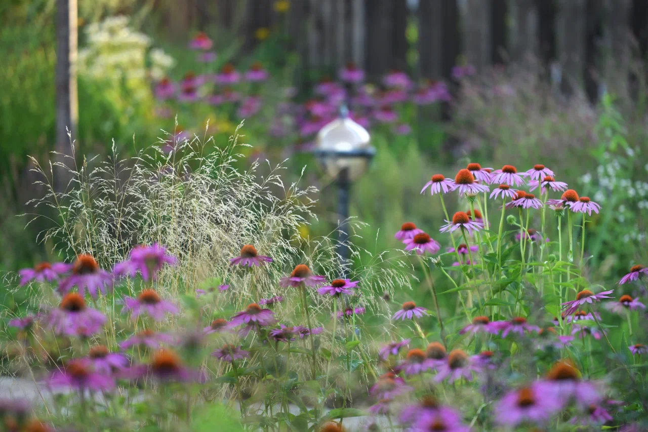Реконструкция сада