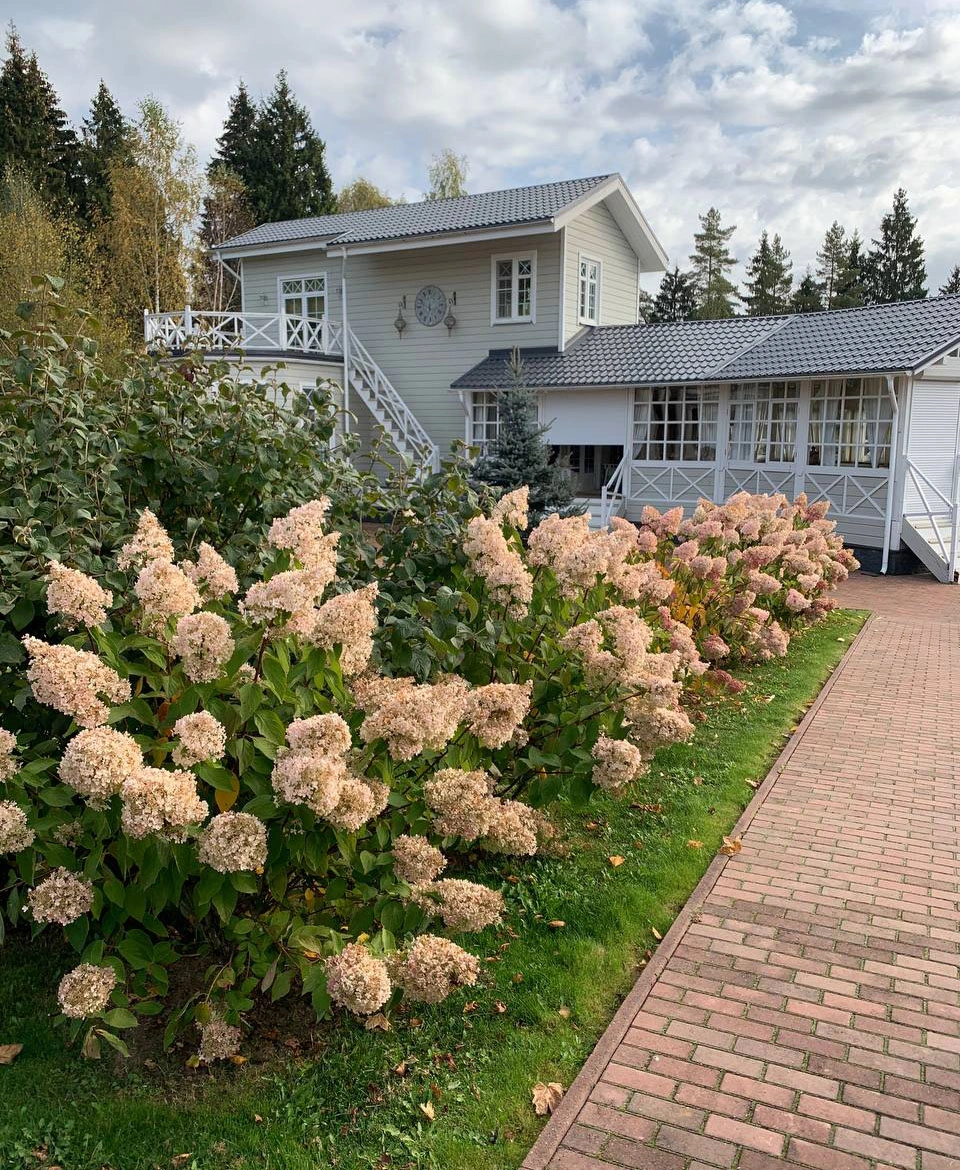 Усадьба «Руза»