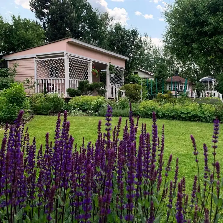 Ландшафтное проектирование